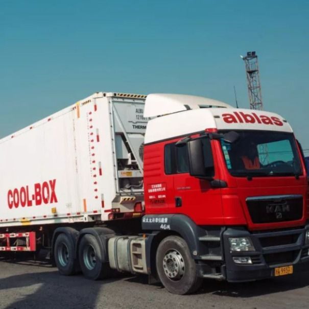 Camion de expédition de conteneur de Chine à la vente de l'Europe Holland Belgium Oversize Cargo For