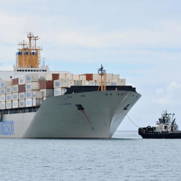 Transporteur Expédition Transitaire Courtier Chine Aux États-Unis Canada Royaume-Uni Global Lcl Cargo Shipping