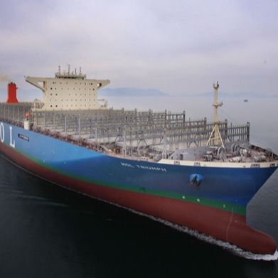 Transitaire logistique de fret maritime International China's Very Cheap LCL Fcl Container Shipping