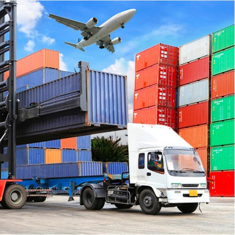 Services Changhaï de logistique de commerce électronique de la Chine aux services de distribution internationaux porte-à-porte de FBA de l'Australie Japon