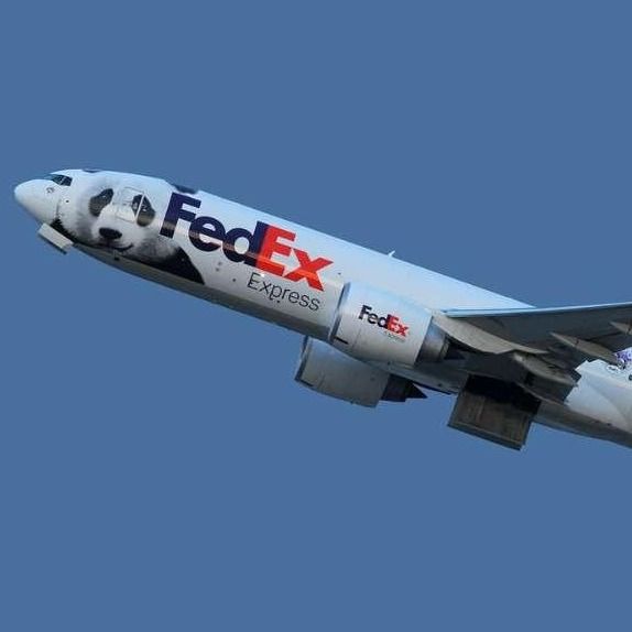 Expédition internationale porte à porte à l'étranger UPS Fret aérien FedEx de Shanghai en Chine vers Israël