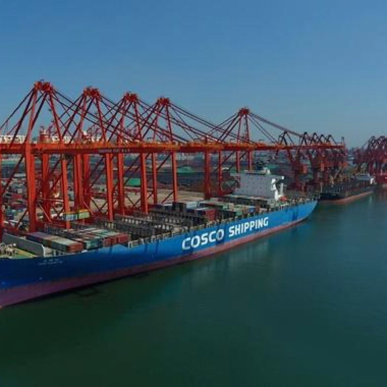 mer FOB Chine de la baisse 3c du centre global LCL d'expédition vers la Jordanie commissionnaire de transport d'Exw de 3 jours