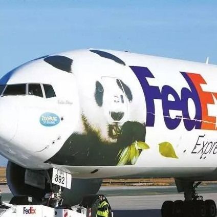 Lève exprès d'air international porte-à-porte de compagnies maritimes rapidement à Dubaï EAU