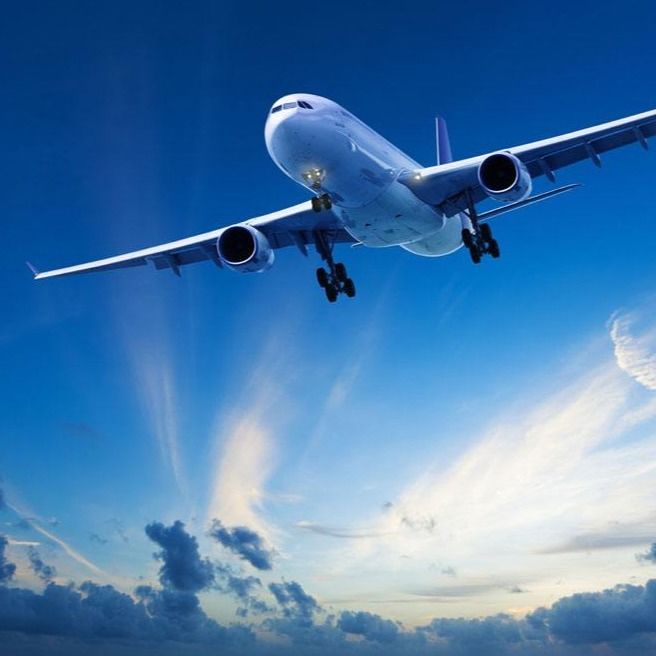 Shopify Dropshipping international de Chine au fret aérien de conteneur du commissionnaire de transport de conteneur de la France 20GP 40GP