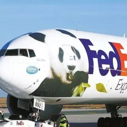 La livraison express vers la France lève l'expédition internationale porte-à-porte de DHL Fedex