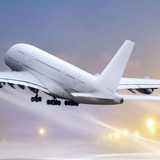 Lève la Chine de expédition exprès à l'agent Professional Logistics Warehouse de fret maritime du Canada et au stockage